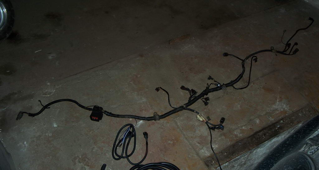100_7867.jpg
