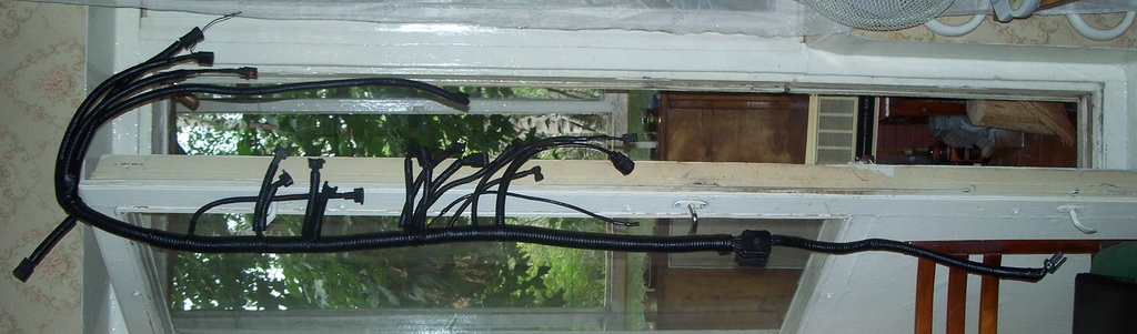 000_00330.jpg