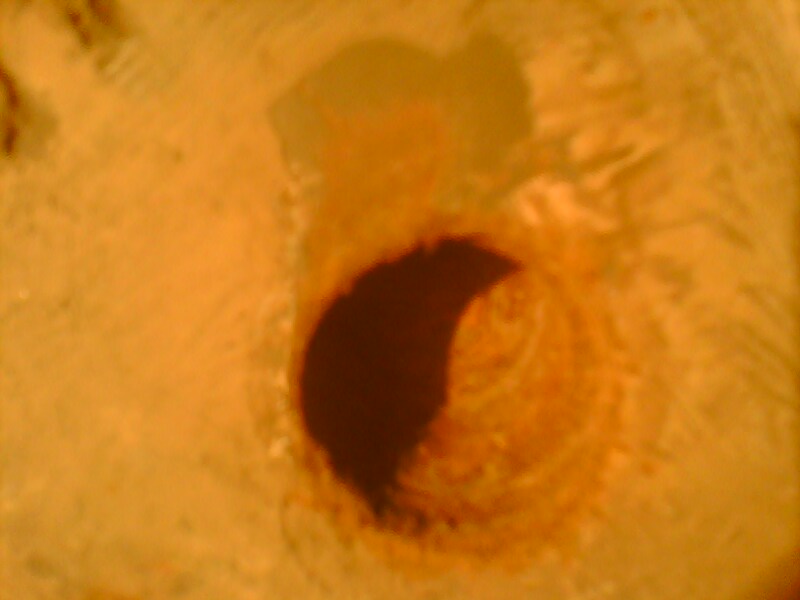 picture_00065.jpg