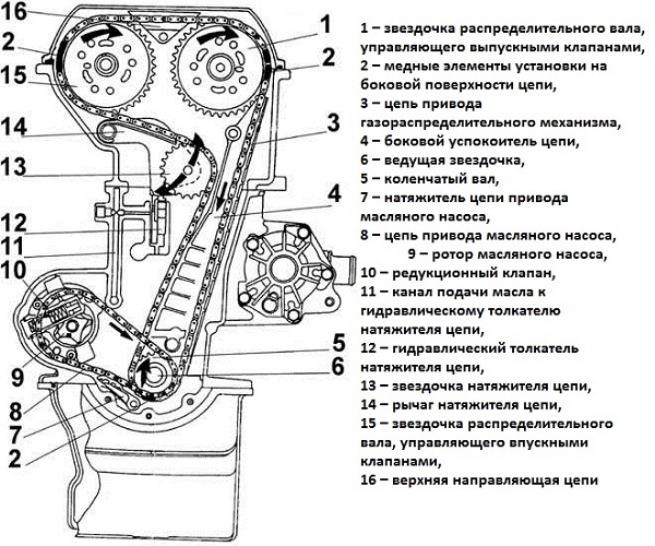 ГРМ DOHC (2).jpg