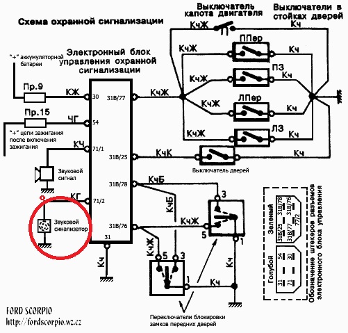 signal родная.jpg