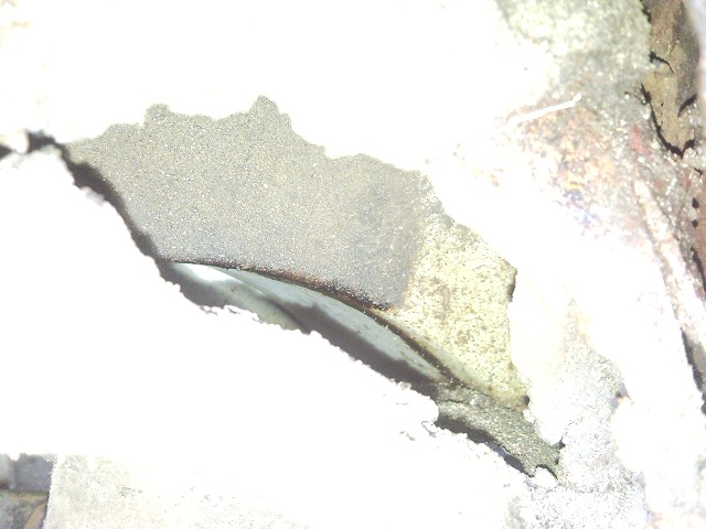 SNC00006.jpg
