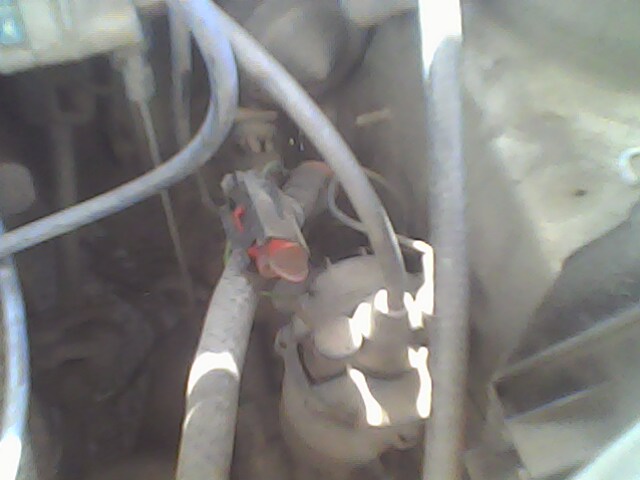 IMG0027A.jpg