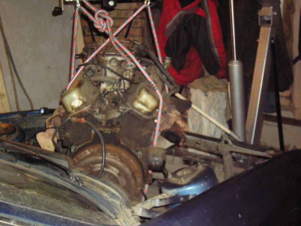 P1000078.jpg