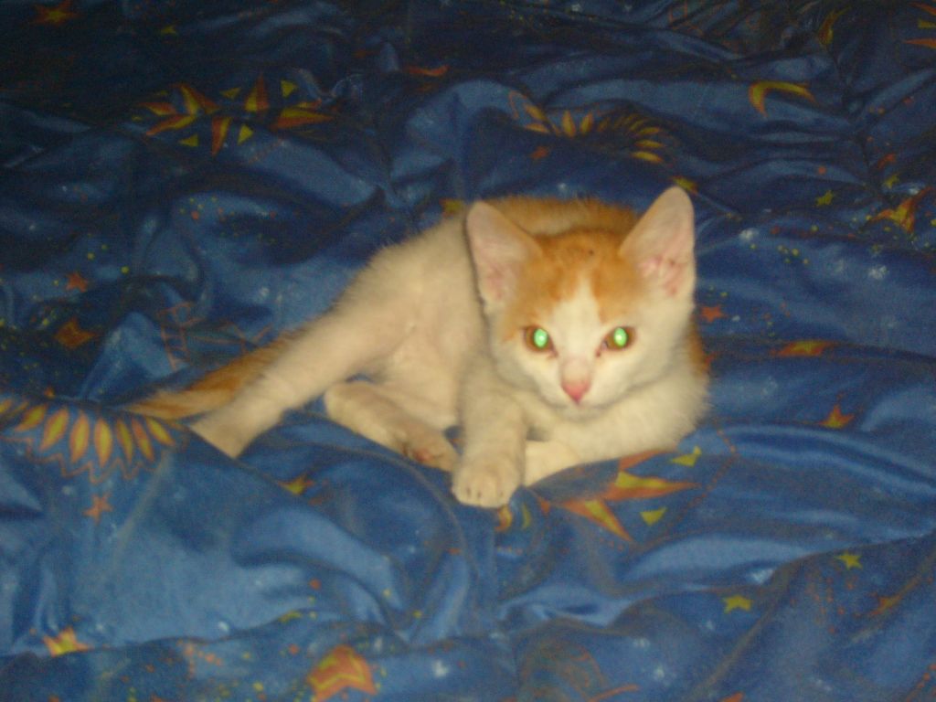 P1000099.jpg