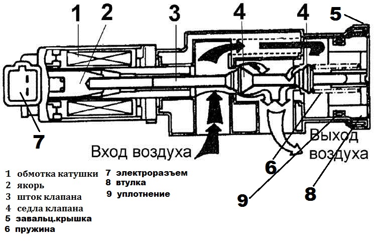 foto5-57r.jpg