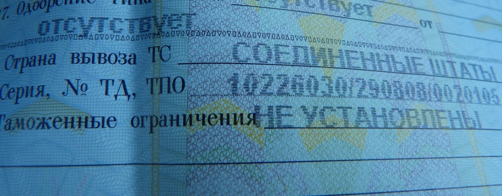 P1000651.jpg
