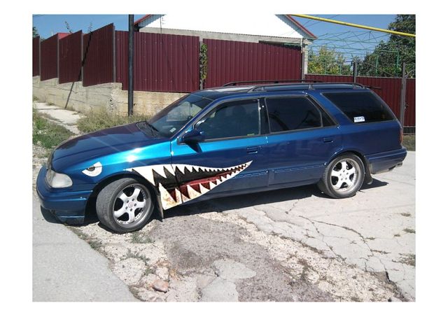 челюсть.jpg