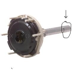 sdv38096.jpg
