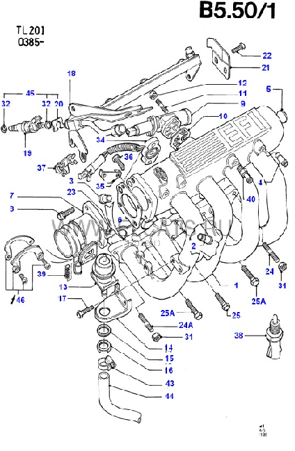 OHC EFI.png