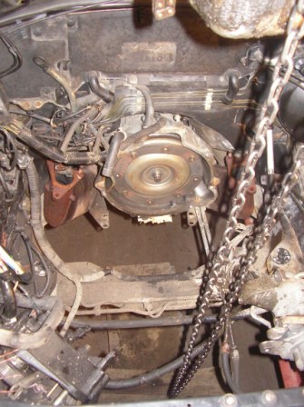 SANY0094.JPG