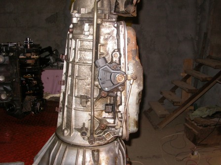 SANY0198.JPG