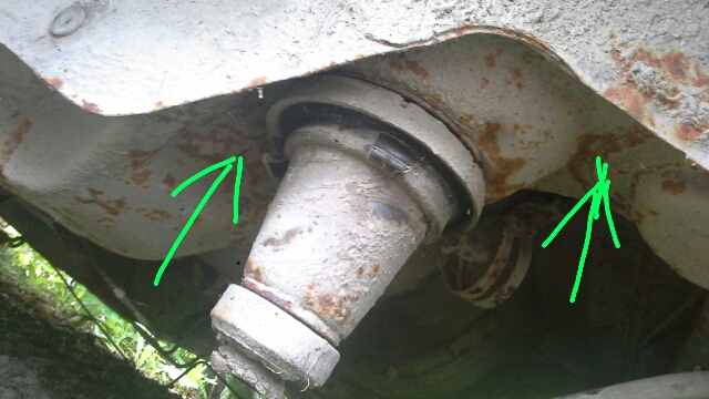 20170716_092604.jpg