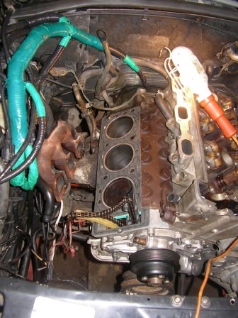 SANY0254.JPG