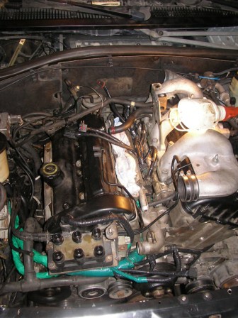 SANY0294.JPG