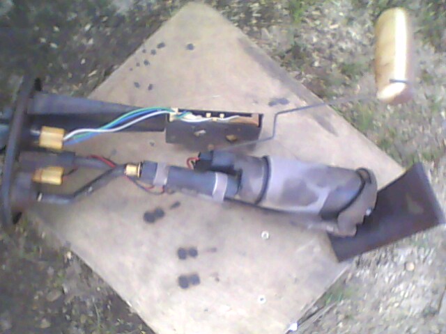 IMG0035A.jpg