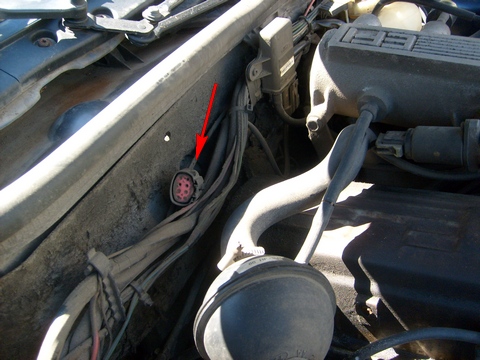 S6302345.JPG