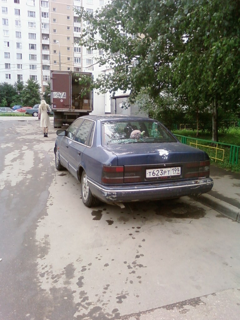 SP_A0410.jpg