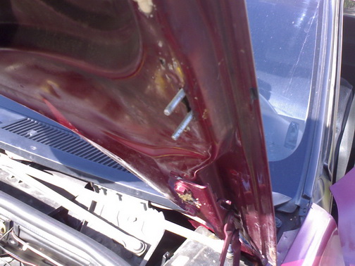 06072009019.jpg