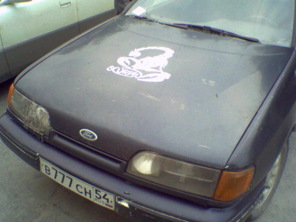 SP_A0735.jpg