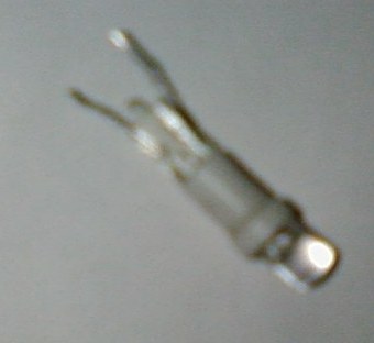 SP_A0479.jpg