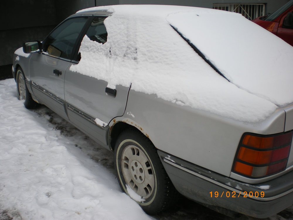 IMGP0282.JPG