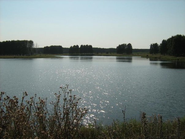 x_87f10473.jpg