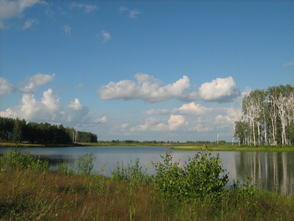 x_36644e93.jpg