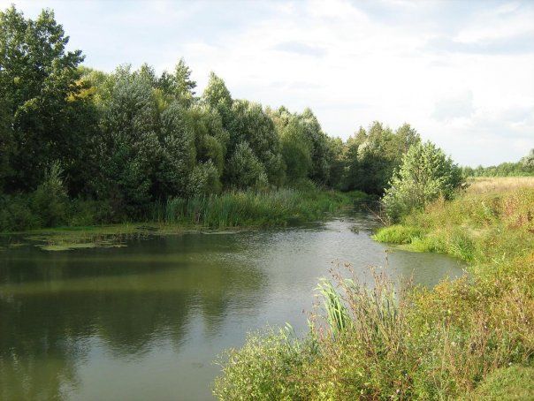 x_97424e33.jpg
