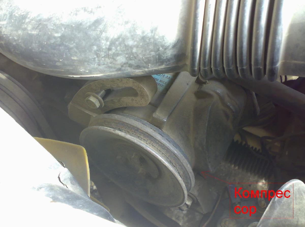 26022009001.jpg