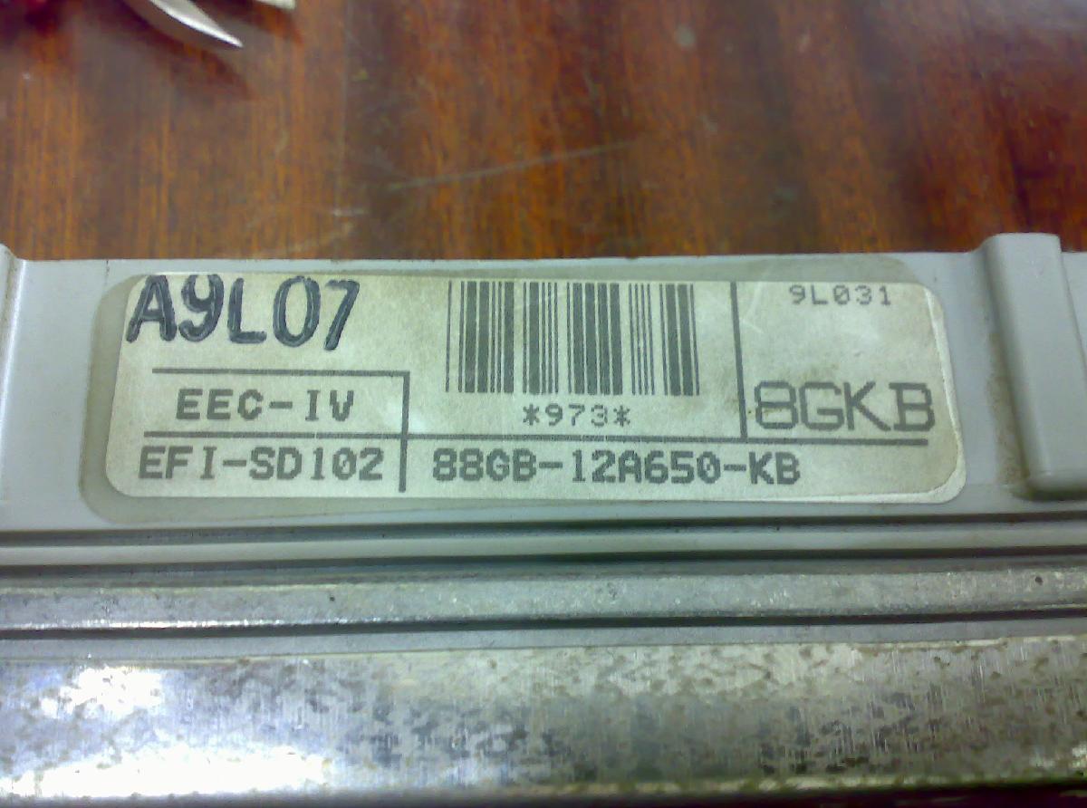 01032009010.jpg