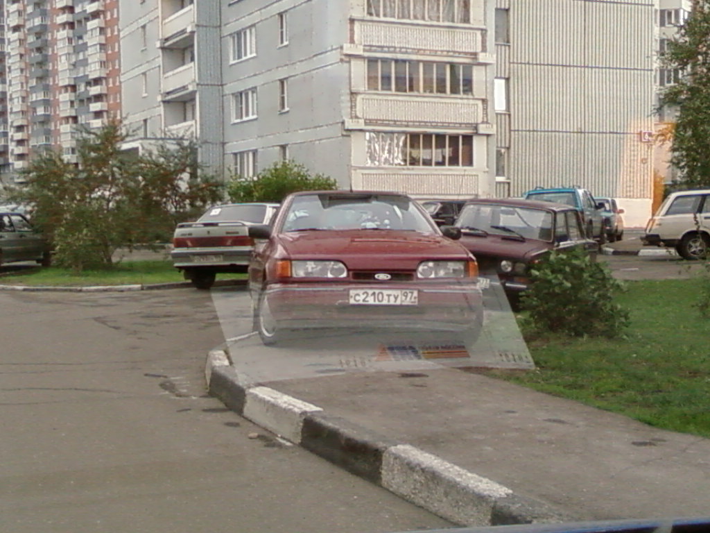SP_A0556.jpg