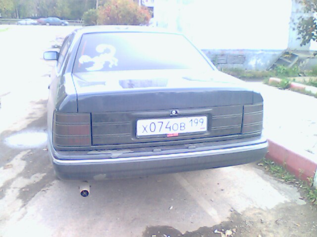 picture_00061.jpg