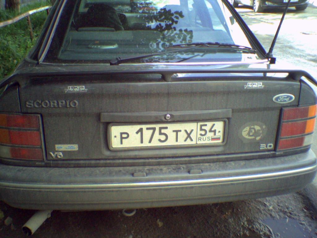 SP_A0793.jpg
