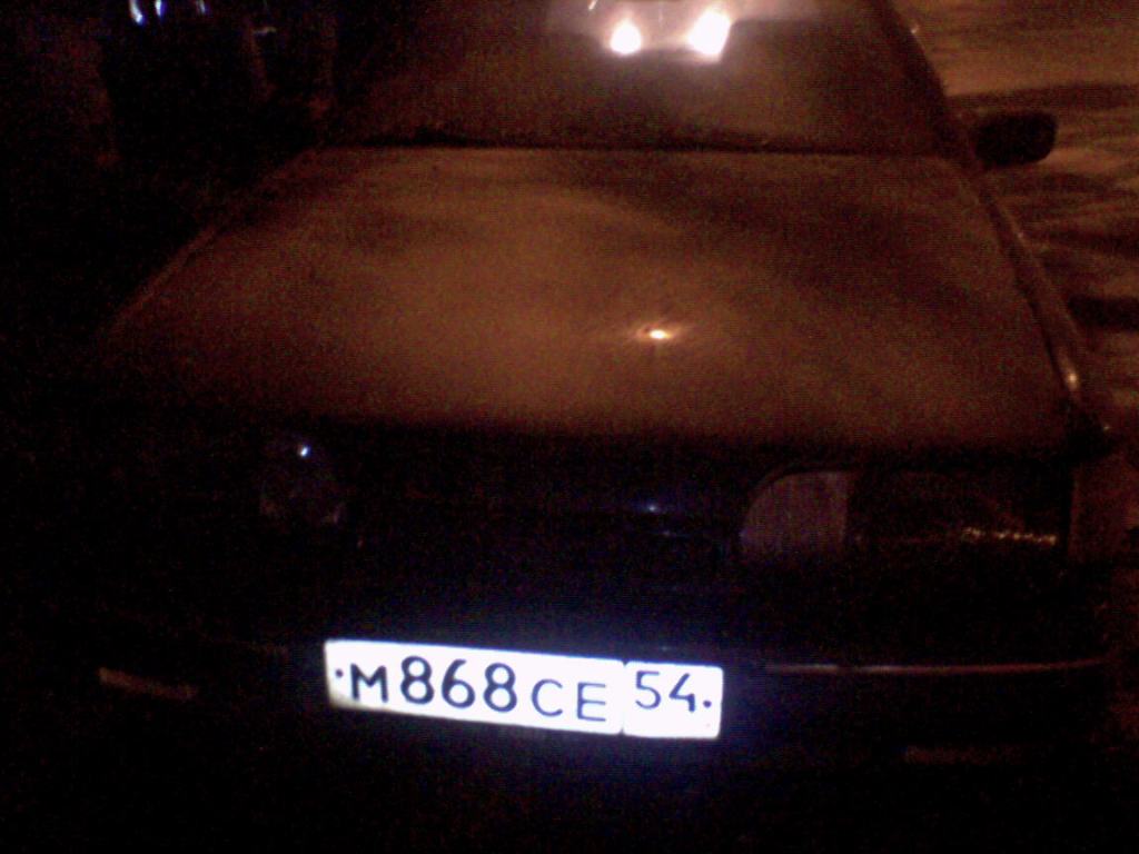 SP_A0818.jpg