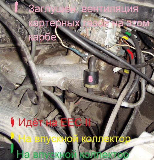 SI857898.jpg