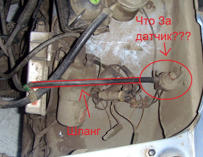 SI857896.jpg