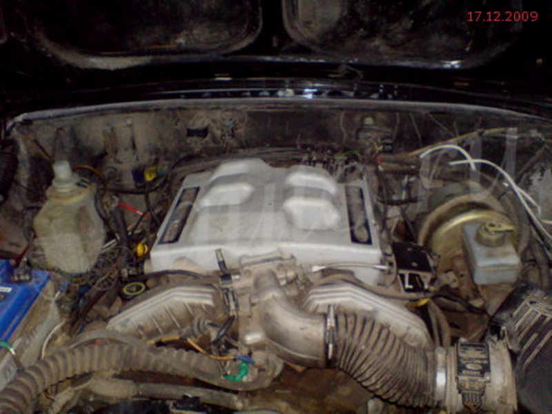 1e3b85cc.jpg