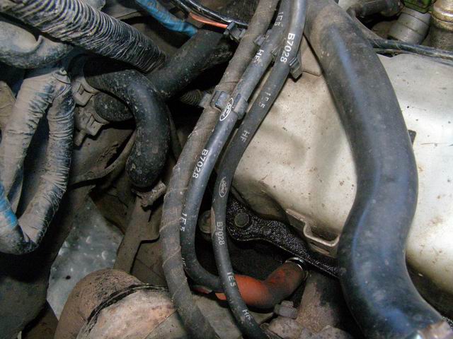 P1286560r.jpg