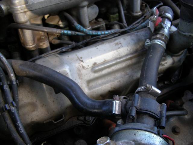 P1286561w.jpg