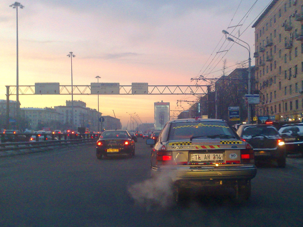 скорп.jpg