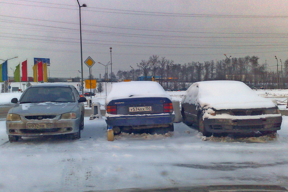 скорп.jpg