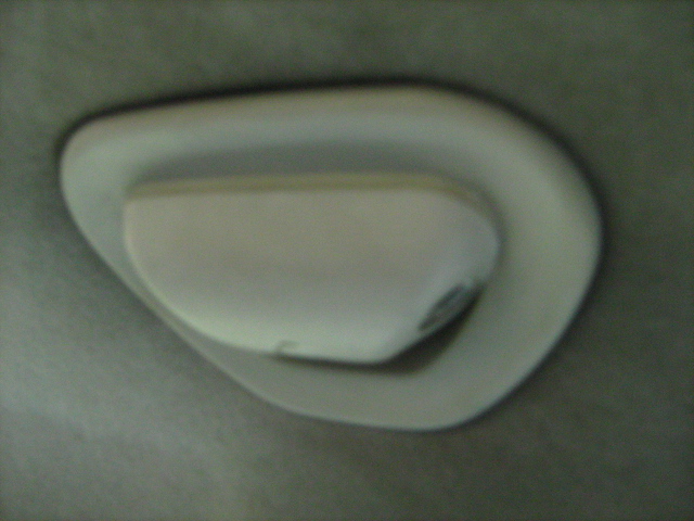 IMG_0220.JPG