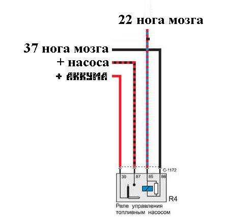sh61.JPG