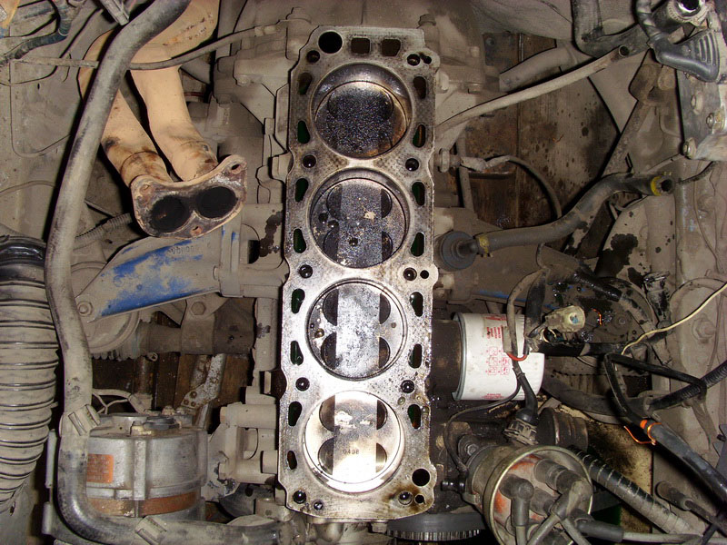 SI858157.jpg
