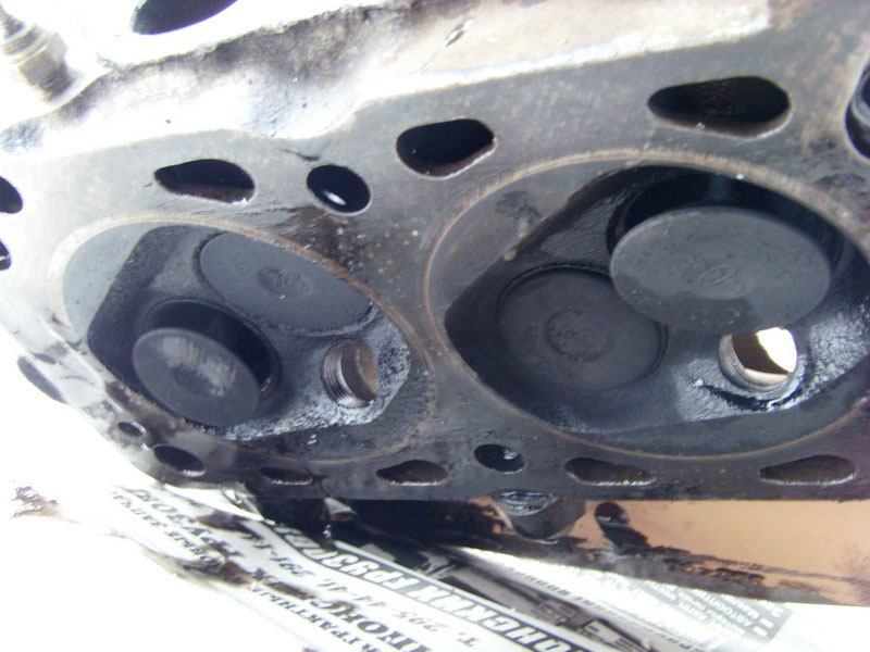 SI858164.jpg
