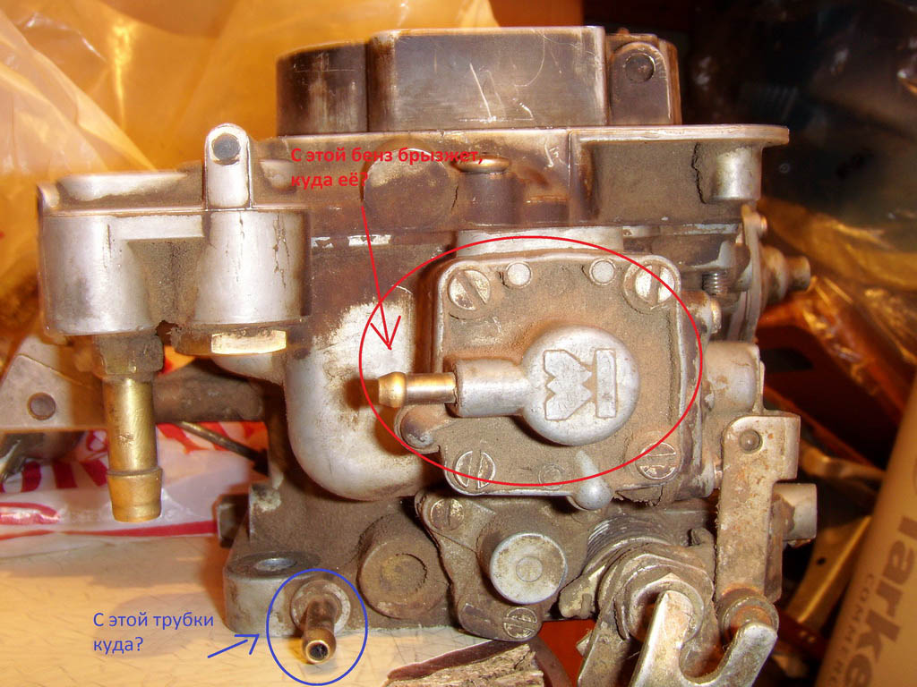 SI858448.JPG