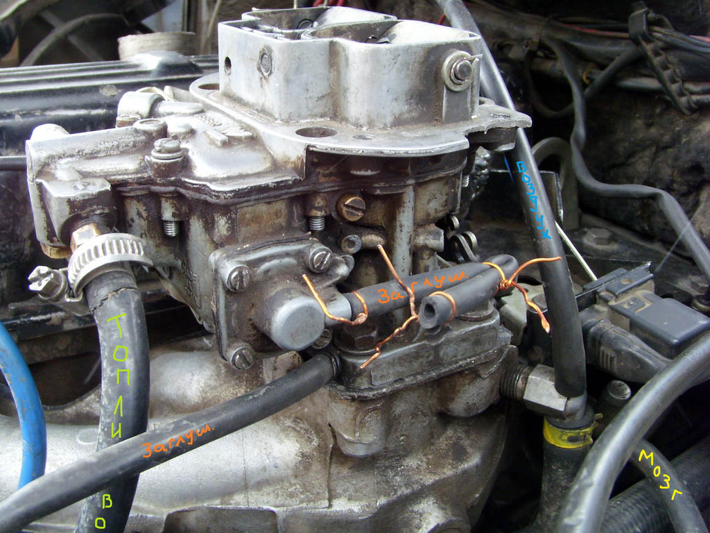SI858450.JPG