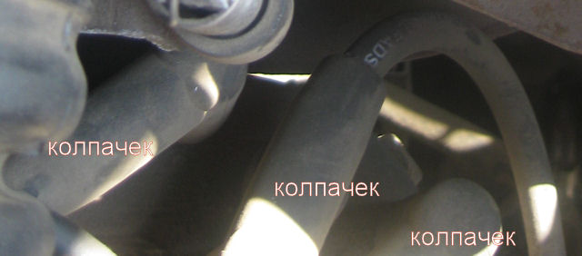 IMG_2121.JPG
