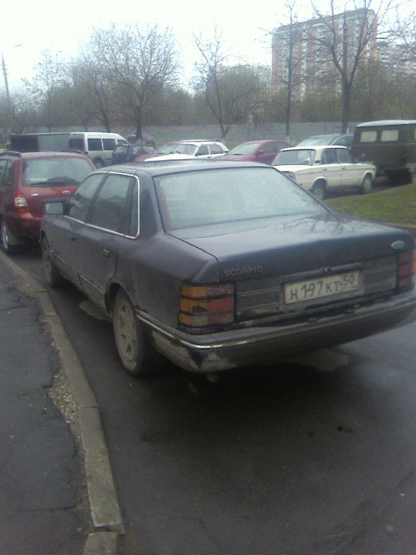 3скорп.jpg
